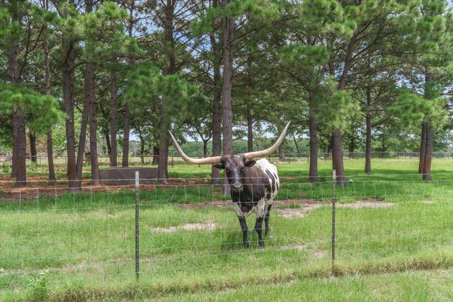 132 Private Road 7105, Edgewood, TX 75117