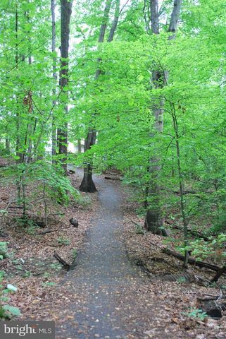 8315 BARK TREE CT, Springfield, VA 22153