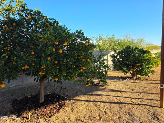 727 W ZION Lane, San Tan Valley, AZ 85143