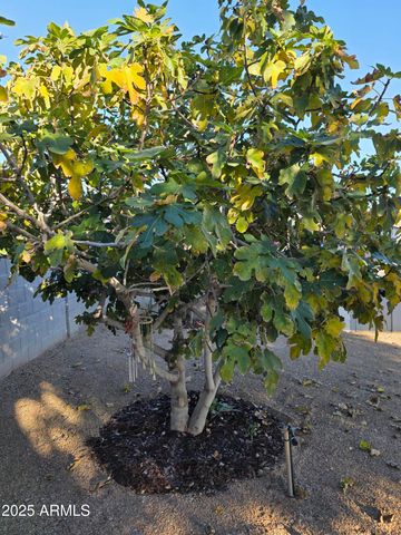 727 W ZION Lane, San Tan Valley, AZ 85143