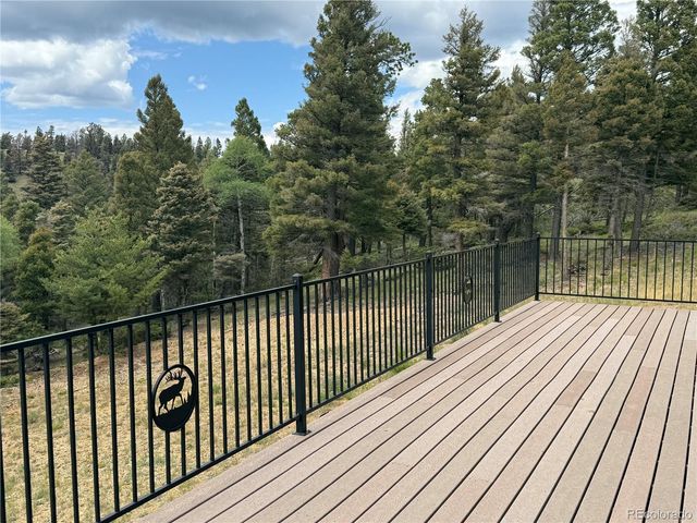 217 Greaves Lane, Fort Garland, CO 81133