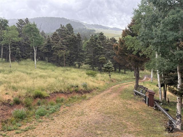 217 Greaves Lane, Fort Garland, CO 81133