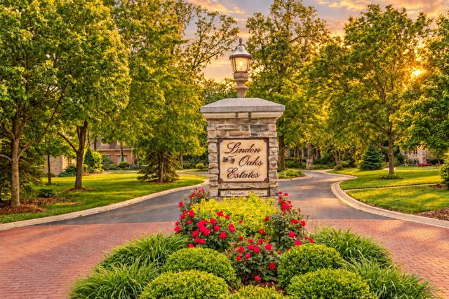 209 Linden Oaks Lane, New Lenox, IL 60451