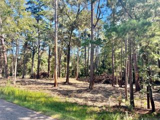 15912 Chaumont Ave, Central, LA 70739