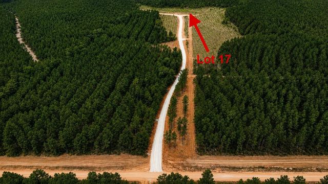 00 Richardson Road E, Livingston, TX 77351