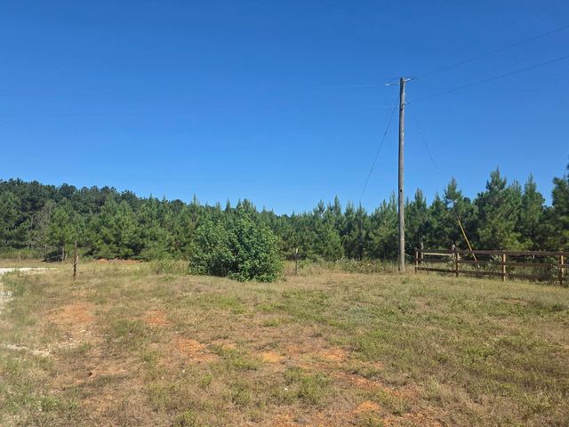 00 Richardson Road E, Livingston, TX 77351