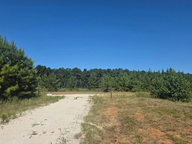 00 Richardson Road E, Livingston, TX 77351