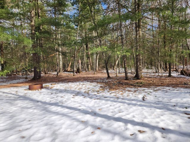 1041 Wolf Lake Drive, Peacock Twp, MI 49304