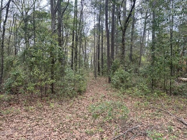 829 Lewis Road, Sumter, SC 29154