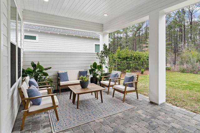 61 Anastasia Circle, Inlet Beach, FL 32461