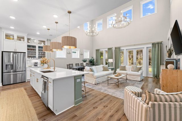 61 Anastasia Circle, Inlet Beach, FL 32461