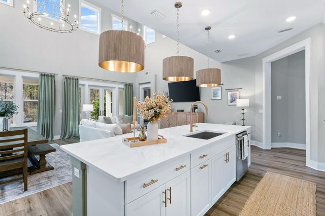 61 Anastasia Circle, Inlet Beach, FL 32461