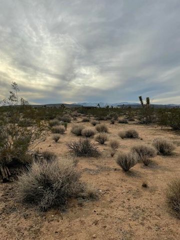 58383 Beaver Tail Lane, Yucca Valley, CA 92284