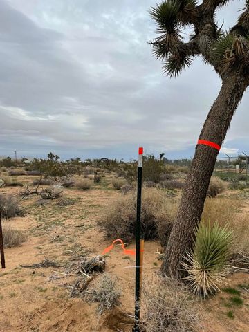 58383 Beaver Tail Lane, Yucca Valley, CA 92284