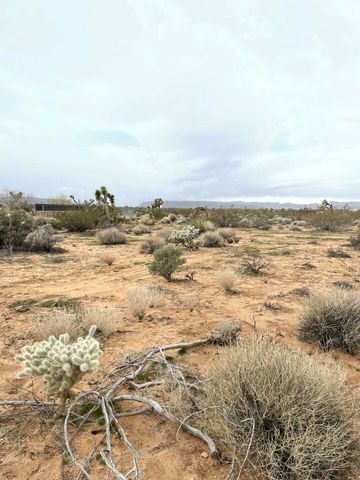 58383 Beaver Tail Lane, Yucca Valley, CA 92284