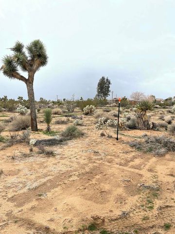 58383 Beaver Tail Lane, Yucca Valley, CA 92284