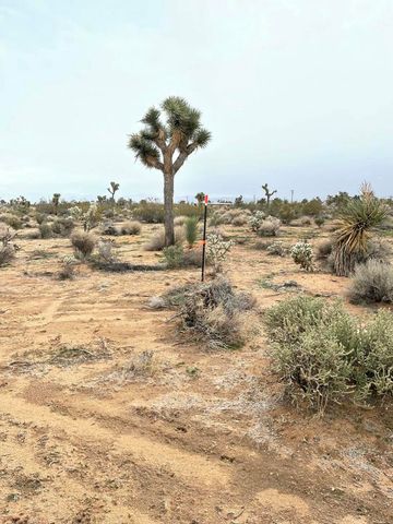 58383 Beaver Tail Lane, Yucca Valley, CA 92284