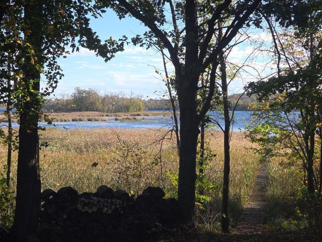 34306 Twin Island Lane, Edna Twp, MN 56528