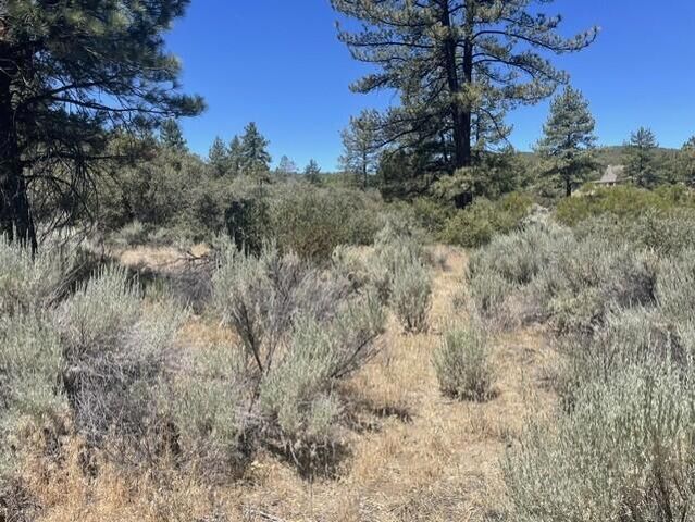 0 Devils Ladder, Mountain Center, CA 92561