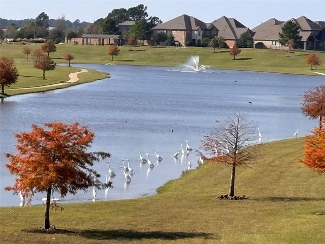 7414 Evelyn Grove Drive, Spring, TX 77379