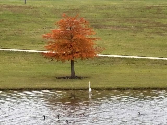 7414 Evelyn Grove Drive, Spring, TX 77379