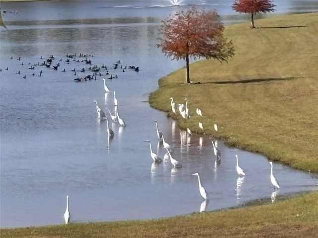 7414 Evelyn Grove Drive, Spring, TX 77379