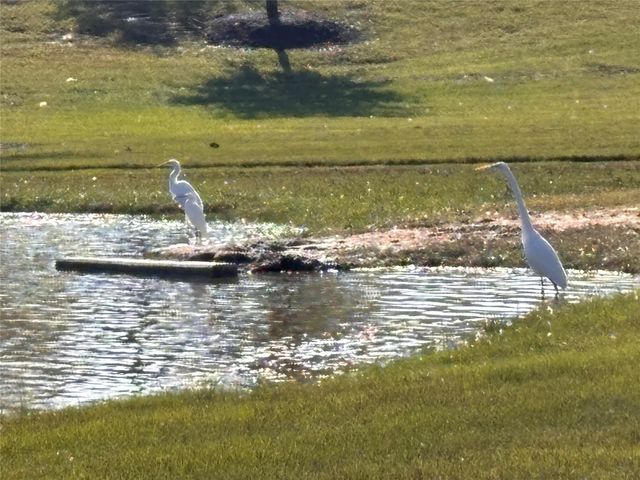 7414 Evelyn Grove Drive, Spring, TX 77379