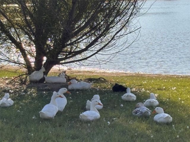 7414 Evelyn Grove Drive, Spring, TX 77379