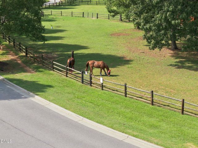 213 Allesandra Drive, Clayton, NC 27527