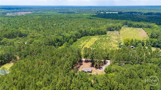 4112 Seed Tick Road, Ellabell, GA 31308