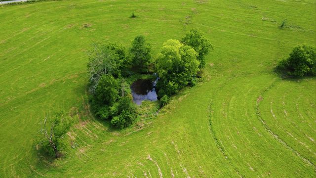 1045 McClure Rd, Clarksville, TN 37040