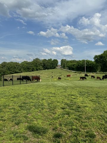 1045 McClure Rd, Clarksville, TN 37040
