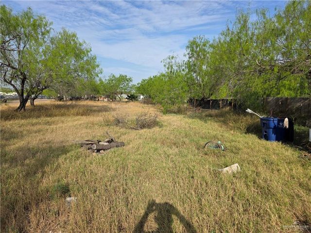 703 E Los Charcos Drive, Palmview, TX 78572