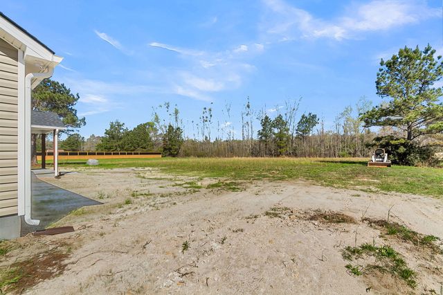 197 Dandelion Court, Round O, SC 29474