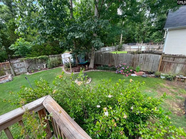 229 Stoney Pointe Drive, Chapin, SC 29036