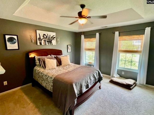229 Stoney Pointe Drive, Chapin, SC 29036