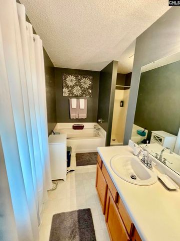 229 Stoney Pointe Drive, Chapin, SC 29036