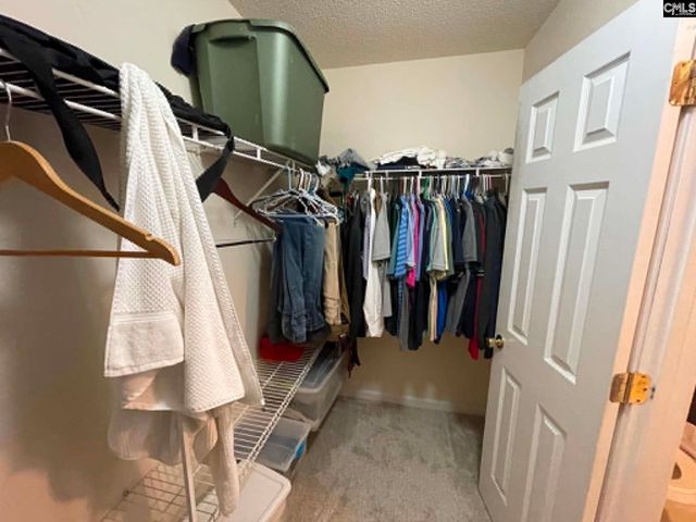 229 Stoney Pointe Drive, Chapin, SC 29036