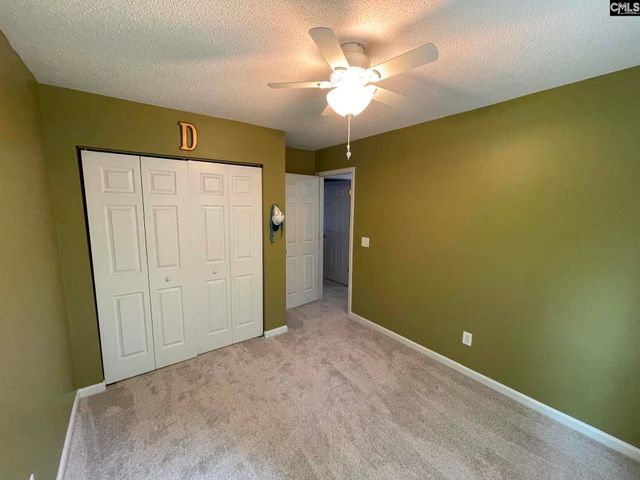 229 Stoney Pointe Drive, Chapin, SC 29036
