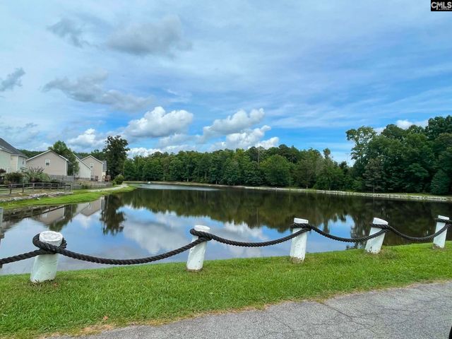 229 Stoney Pointe Drive, Chapin, SC 29036
