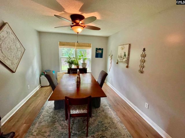 229 Stoney Pointe Drive, Chapin, SC 29036