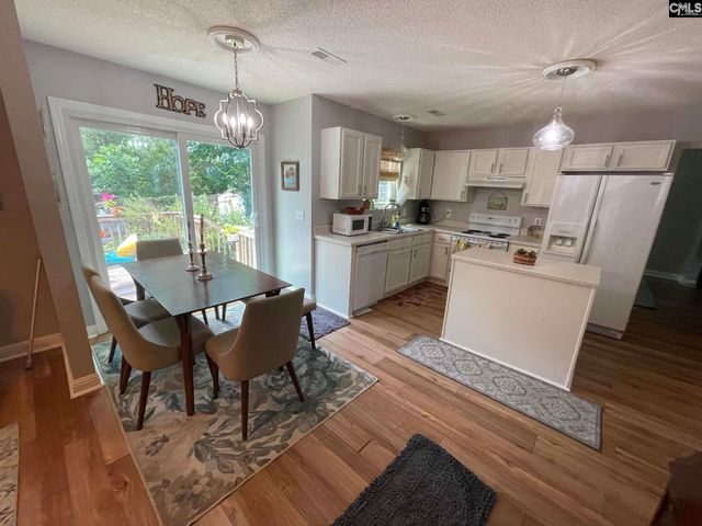 229 Stoney Pointe Drive, Chapin, SC 29036