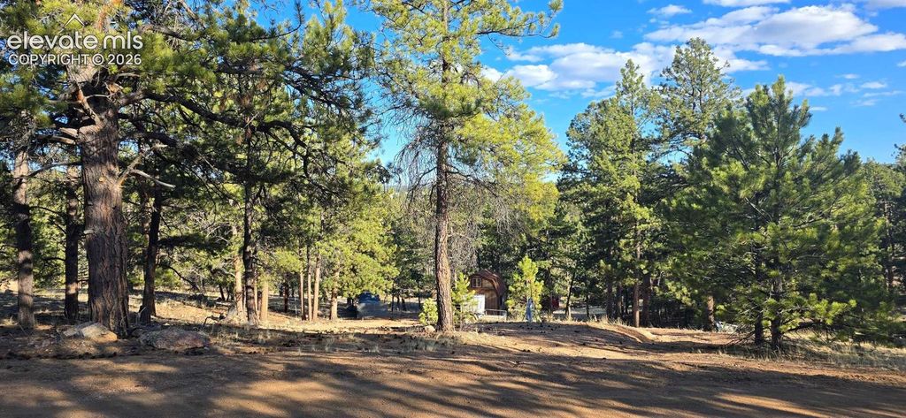 595 Mustang Trail, Florissant, CO 80816 — exterior