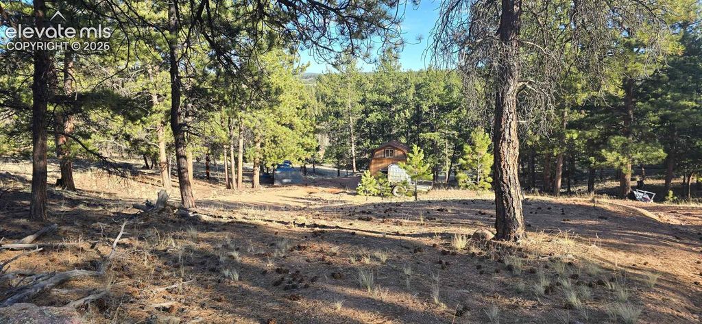 595 Mustang Trail, Florissant, CO 80816 — photo 2