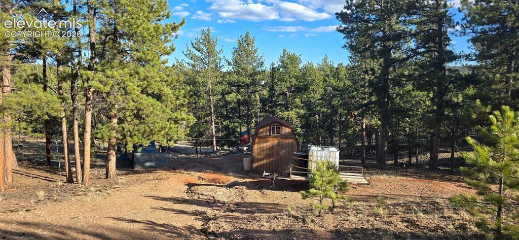 595 Mustang Trail, Florissant, CO 80816 — photo 3