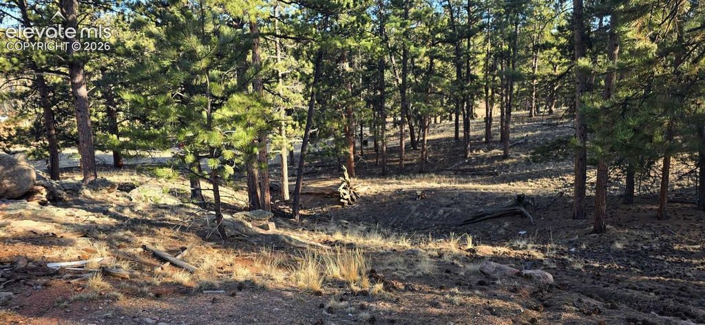 595 Mustang Trail, Florissant, CO 80816 — photo 5