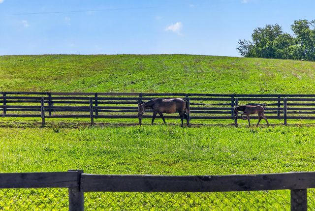 600 Ison Lane, Harrodsburg, KY 40330