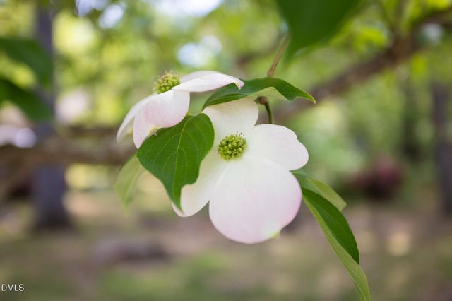 5125 Kenwood Road, Durham, NC 27712