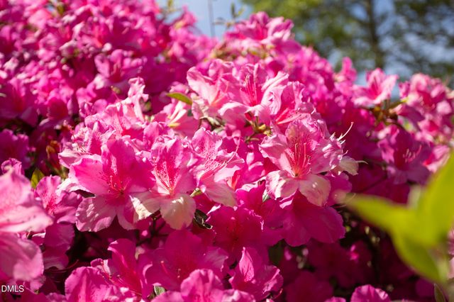 5125 Kenwood Road, Durham, NC 27712