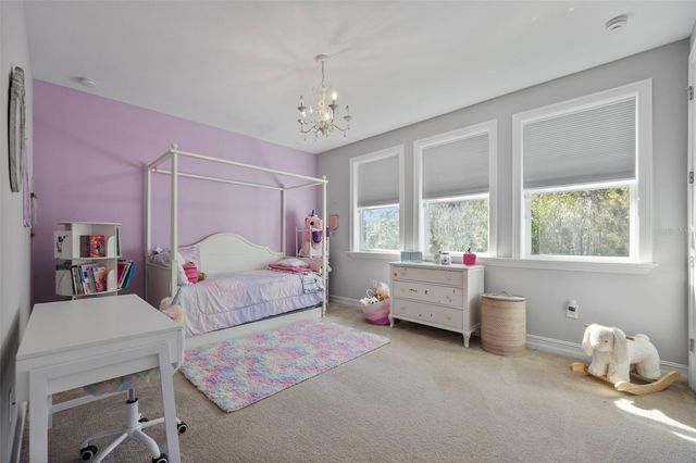 28787 CORBARA PLACE, Wesley Chapel, FL 33543